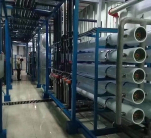 电子半导体正能量黄色网站